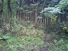 今日の『お仕事』