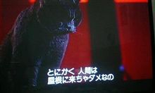 ネコムービーだ(ネコのミヌース