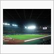 久しぶりにサッカーを見る。