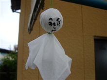 今日は雨・・・