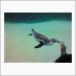 ペンギン～