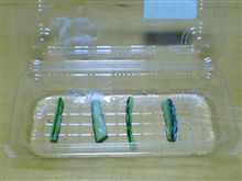 馬子一がサラダ巻きを食べると…