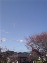 寝過ごした(・_・;)