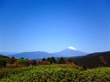 今日は早起きしとけだろー