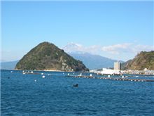 今日の富士山1/9◎伊豆より