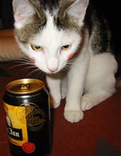 ビール飲んでマッタリ。