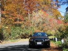 【紅葉ドライブ】霧降高原_日光_金精峠_奥利根