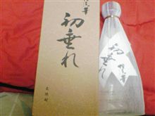 ハナタレ…