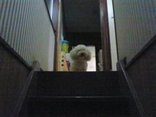 ハロウィン　