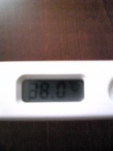 今、こんなだったりします 今、こんなだったりします
