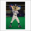 祝！ドラゴンズ日本一