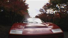 続・紅葉４
