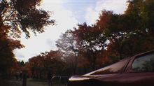 続・紅葉５
