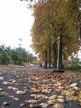 おやつの時間