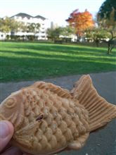 そんな、ハチさんに活力を！（笑