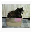 可愛い～ヾ(*&#180;∀｀*)ﾉｷｬｯｷｬ