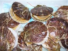嬉しい頂き物　２nd