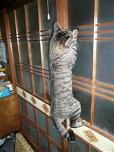 いきなり興奮！