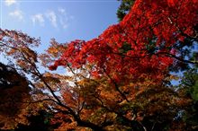 ちと山へ。。。。