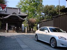 プッチオフ。