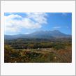 紅葉を拝み直しに行ってきた