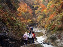 面白山高原 紅葉川渓谷でハイキング