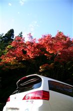 紅葉とＡＷ