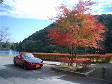 三河の山も、ちょっぴり紅葉してます。