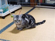 未知との出会い