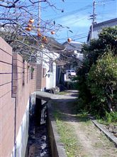 私の中の原風景