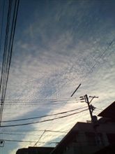 今朝だけ