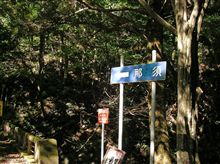 大森林道