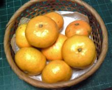 初・みかん。