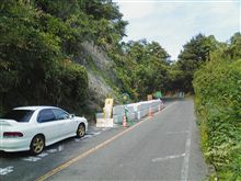 緑道の紅葉はまだ早いかった