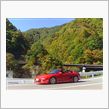 紅葉を求めて