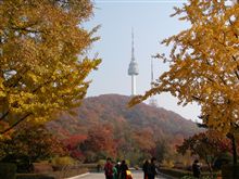 紅葉の南山。