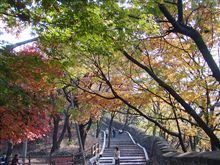 南山から歩いて下る。