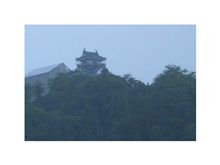 越前大野～神戸
