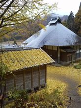 銀杏
