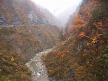 第3回白山手取川もみじウォーク