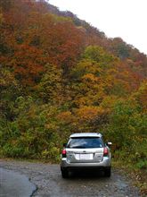 徳山ダム周辺の紅葉ドライブ 徳山ダム周辺の紅葉ドライブ