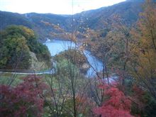 紅葉ドライブ