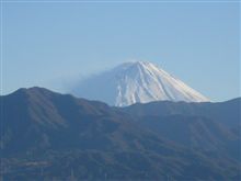 おはよう、寒くて目が覚めた