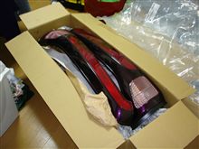 デカ物の正体は・・・