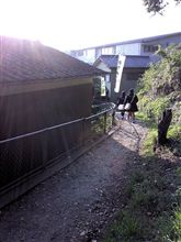 朝の通学路