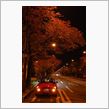 night drive