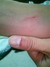 コメ返は明日に･･･m(__)m