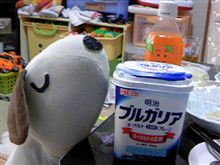 今朝は王道を突っ走る…？