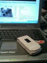 代携帯？…