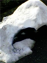 仕事先で見たモノ